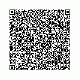 vCard 74966383380