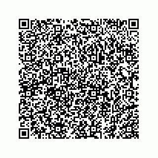 vCard 74966383381