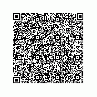 vCard 74967381279