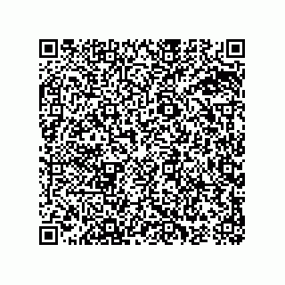 vCard 74967413217