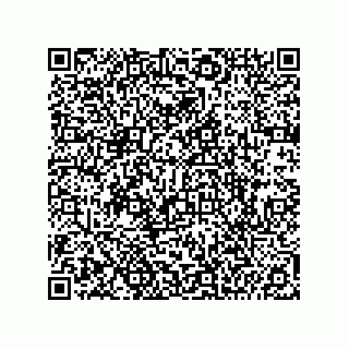 vCard 74967488173
