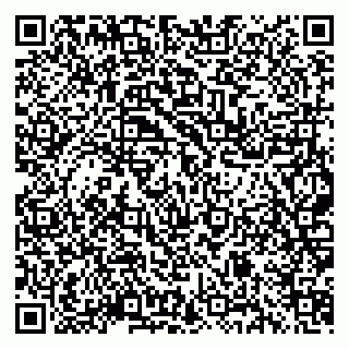 vCard 74967493199