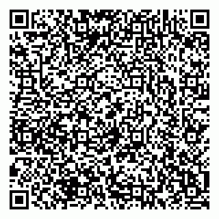 vCard 74967493203