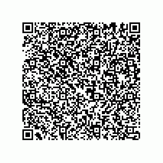 vCard 74967740318