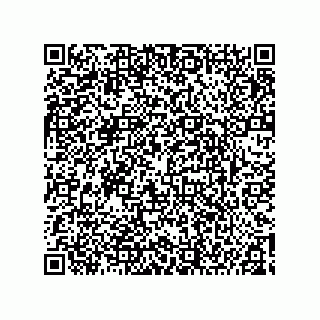 vCard 74967920381