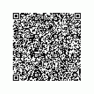 vCard 74983046511