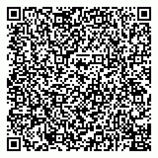 vCard 74984720138
