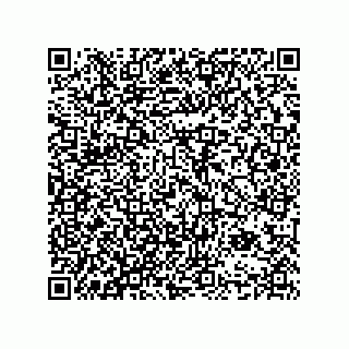 vCard 74984798139