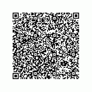 vCard 74984800138