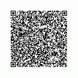 vCard 74984800275