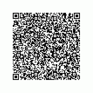 vCard 74985144809