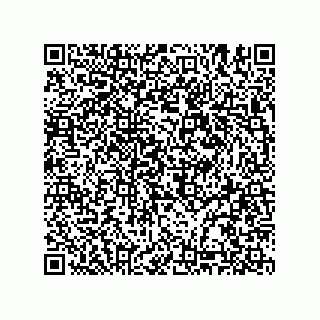 vCard 74985145044