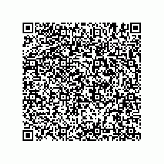vCard 74985145111