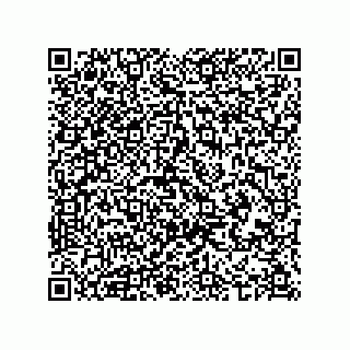 vCard 74985145117