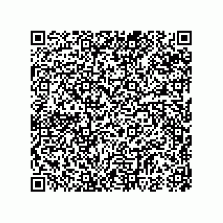 vCard 74985145119