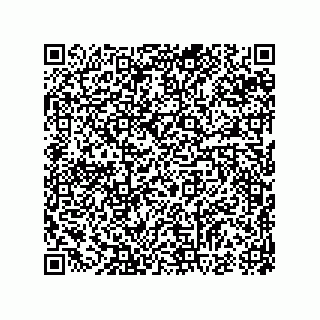 vCard 74985145131