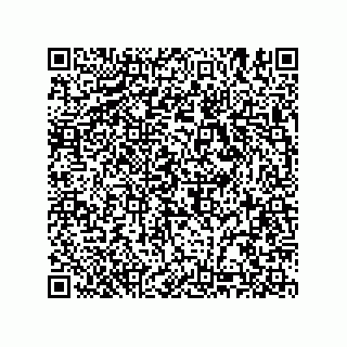 vCard 74985145132