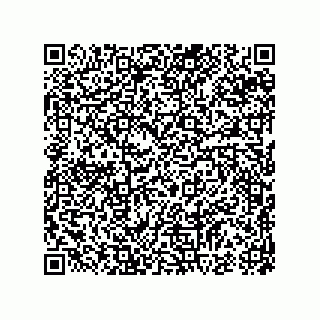 vCard 74985145134