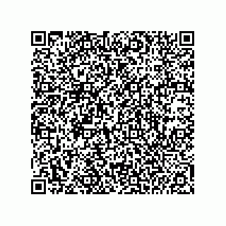 vCard 74985200039