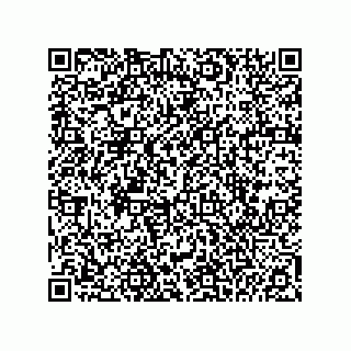 vCard 74985210011