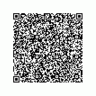 vCard 74985210013