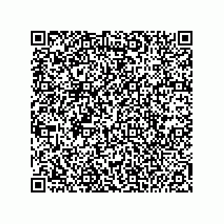 vCard 74985210019