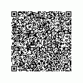vCard 74985210020