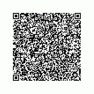 vCard 74985210029