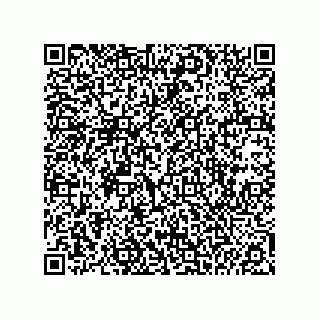 vCard 74985210039