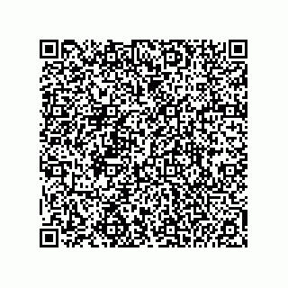 vCard 74985210087