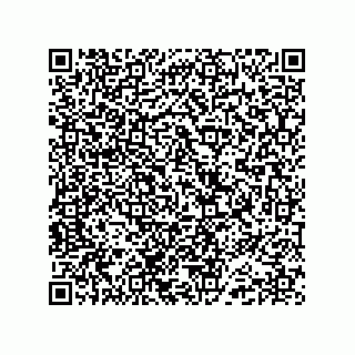 vCard 74985210090
