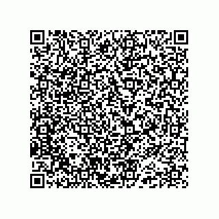 vCard 74985210132