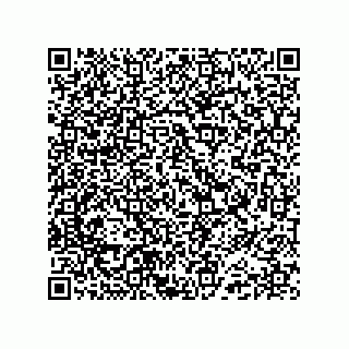 vCard 74985210171