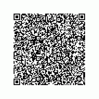 vCard 74985210173
