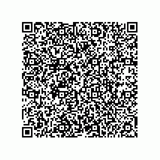 vCard 74985210320