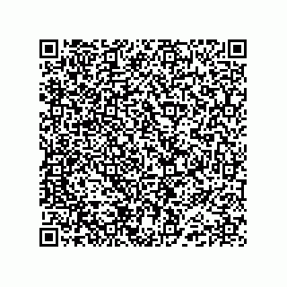 vCard 74985210330