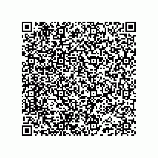 vCard 74985210381