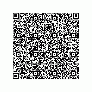 vCard 74985212403