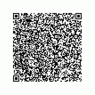vCard 74985212433