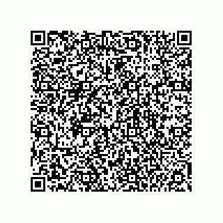 vCard 74985212477