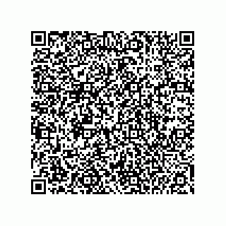 vCard 74985212479