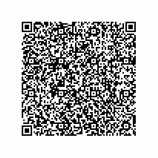 vCard 74985212513