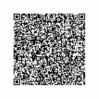 vCard 74985212519