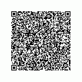 vCard 74985212579