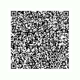 vCard 74985212639