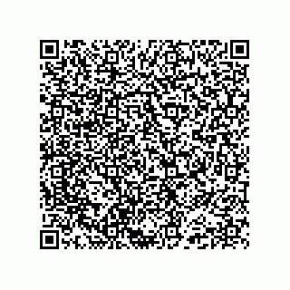 vCard 74985212691