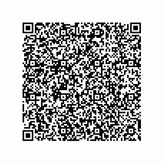 vCard 74985212699
