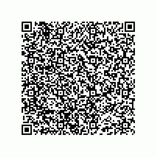 vCard 74985212701