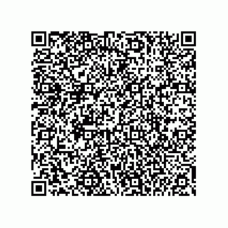 vCard 74985212705
