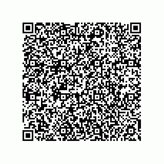 vCard 74985212709